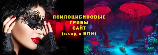 тгк Няндома