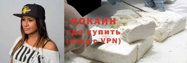 тгк Няндома