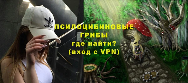 mdpv Нягань