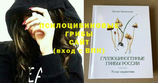 тгк Няндома