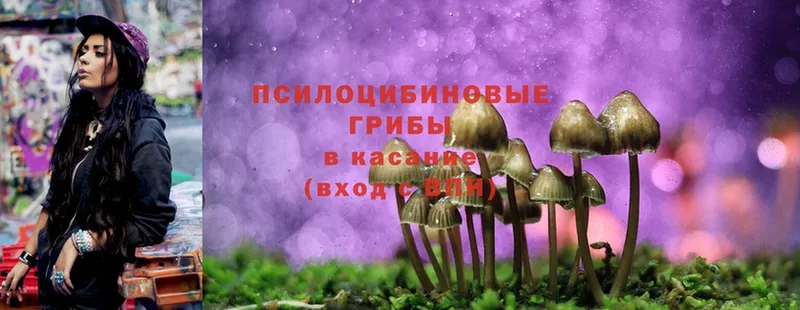 Галлюциногенные грибы Magic Shrooms  Бавлы 